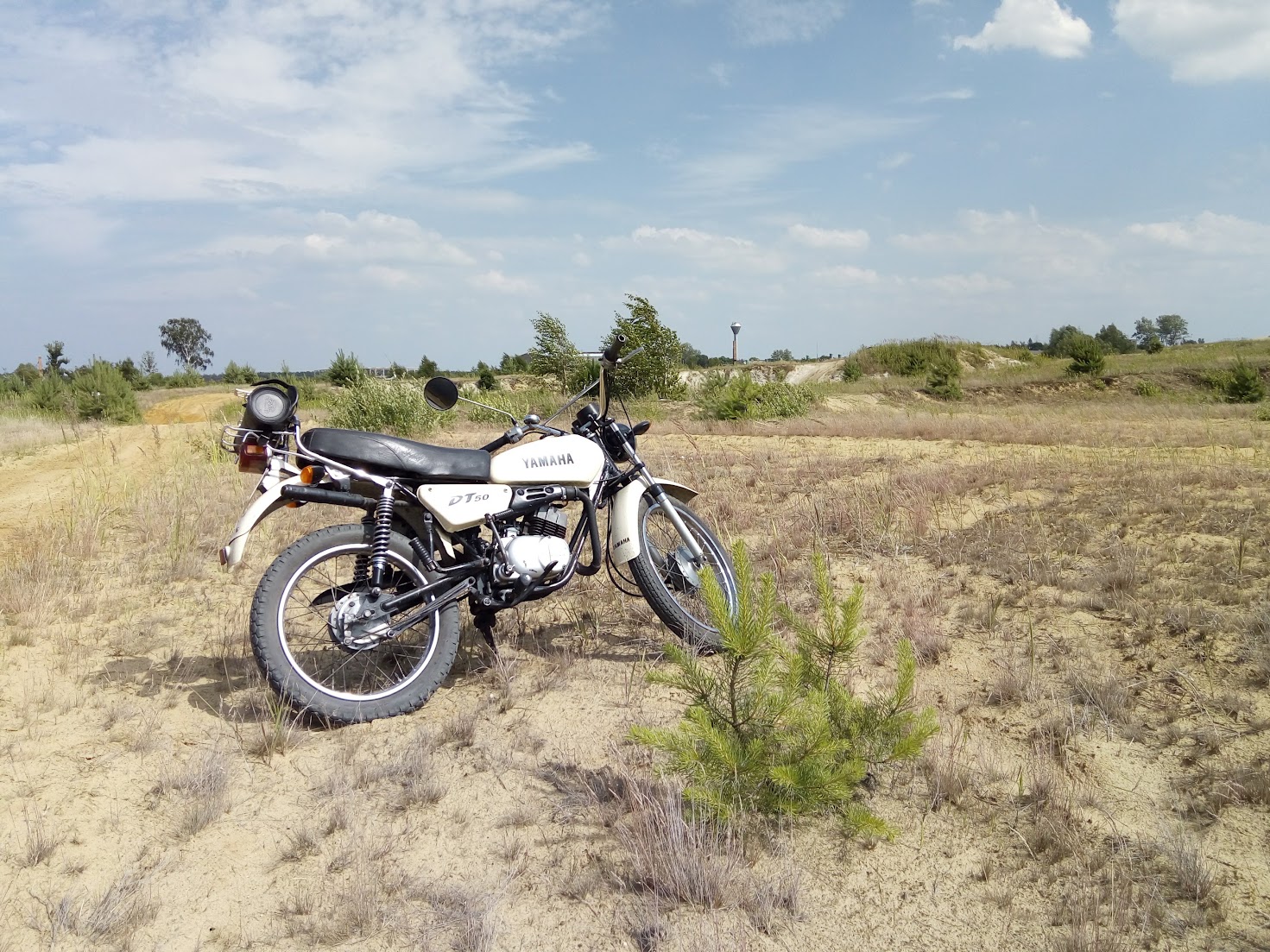 DT50
