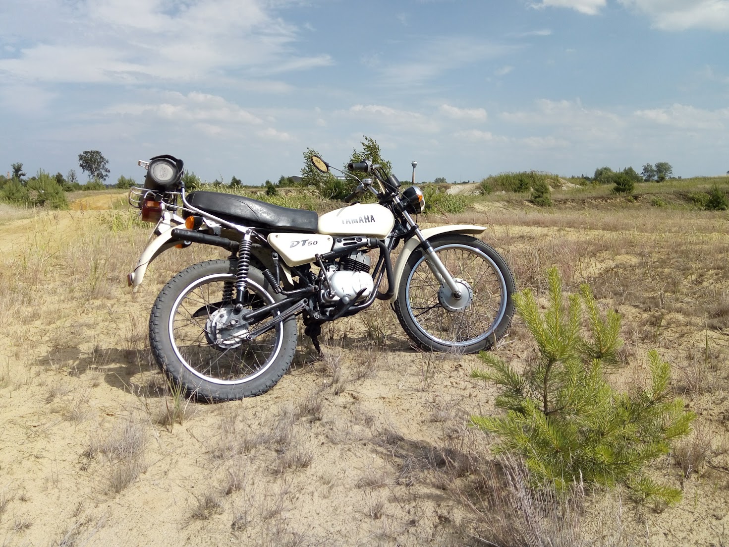 DT50