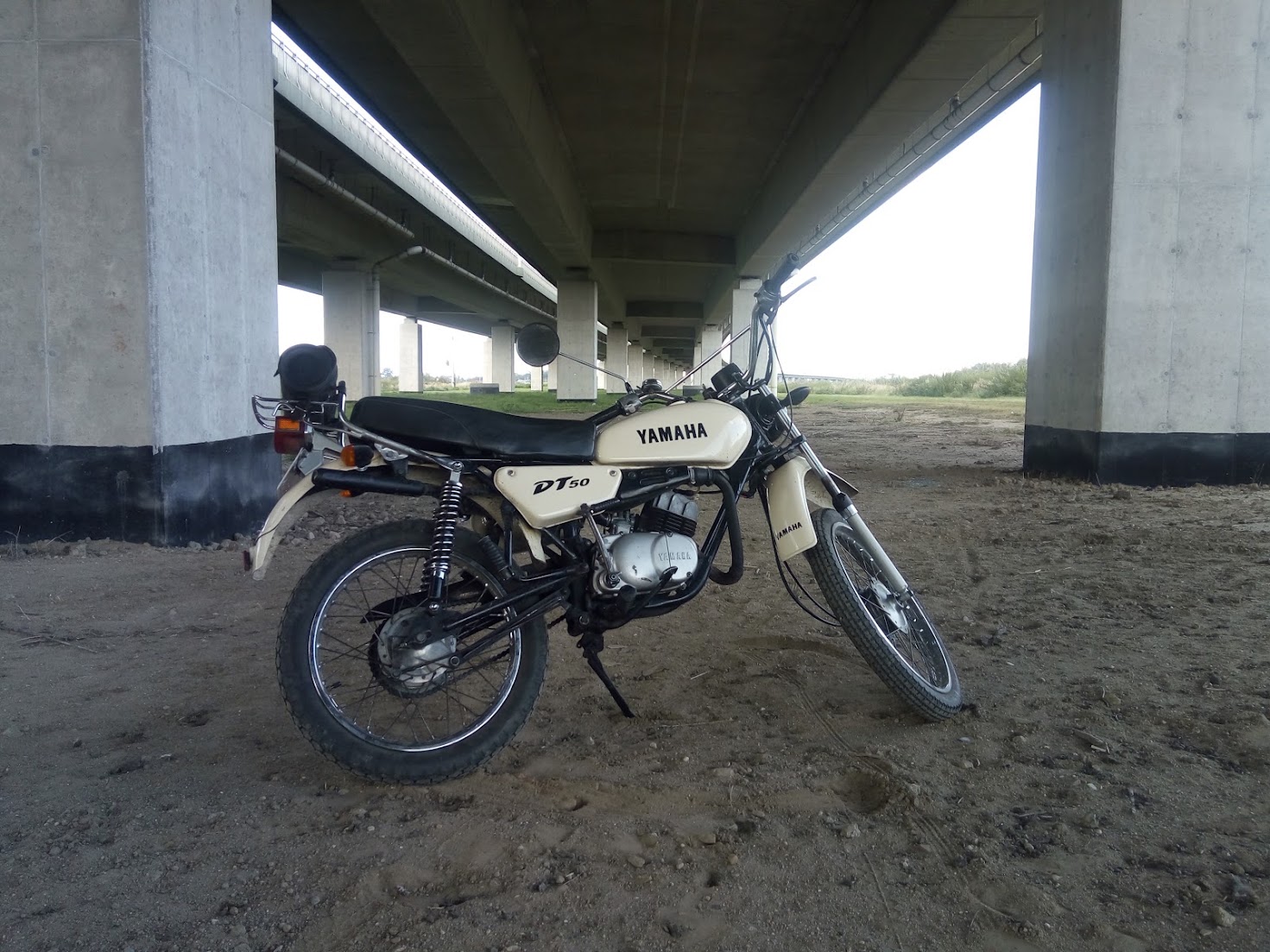 DT50