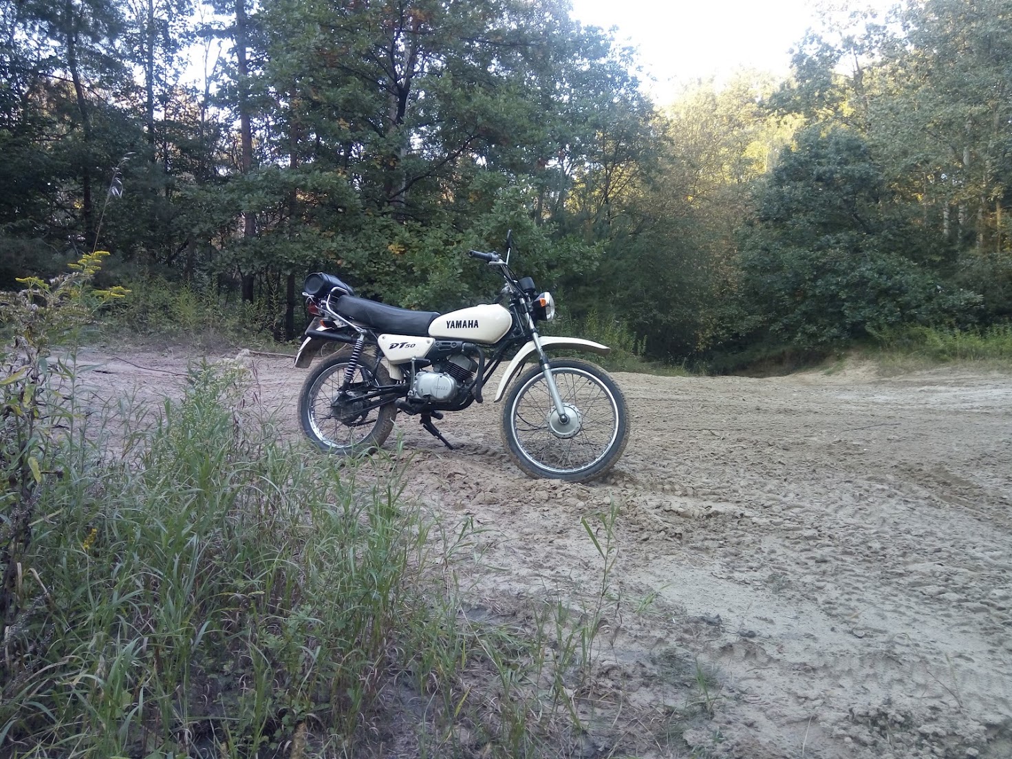DT50
